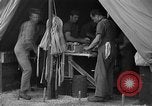 Image of Observation aircraft Galveston Texas USA, 1941, second 6 stock footage video 65675053563