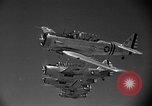 Image of Observation aircraft Galveston Texas USA, 1941, second 40 stock footage video 65675053563