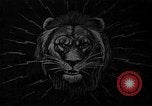 Immagine di Bronx Zoo New York City USA, 1941, secondo 1 filmato di repertorio 65675053566