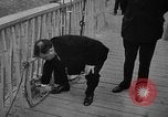 Immagine di Bronx Zoo New York City USA, 1941, secondo 8 filmato di repertorio 65675053566