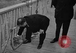 Immagine di Bronx Zoo New York City USA, 1941, secondo 9 filmato di repertorio 65675053566