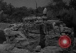 Immagine di Bronx Zoo New York City USA, 1941, secondo 24 filmato di repertorio 65675053566