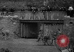 Immagine di Bronx Zoo New York City USA, 1941, secondo 27 filmato di repertorio 65675053566