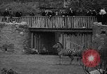Immagine di Bronx Zoo New York City USA, 1941, secondo 28 filmato di repertorio 65675053566