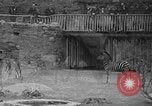 Immagine di Bronx Zoo New York City USA, 1941, secondo 29 filmato di repertorio 65675053566