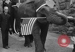 Immagine di Bronx Zoo New York City USA, 1941, secondo 48 filmato di repertorio 65675053566