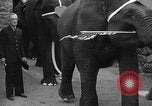 Immagine di Bronx Zoo New York City USA, 1941, secondo 49 filmato di repertorio 65675053566