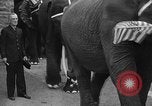 Immagine di Bronx Zoo New York City USA, 1941, secondo 50 filmato di repertorio 65675053566