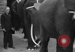 Immagine di Bronx Zoo New York City USA, 1941, secondo 51 filmato di repertorio 65675053566