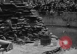 Immagine di Bronx Zoo New York City USA, 1941, secondo 52 filmato di repertorio 65675053566