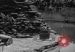 Immagine di Bronx Zoo New York City USA, 1941, secondo 53 filmato di repertorio 65675053566