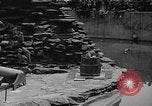 Immagine di Bronx Zoo New York City USA, 1941, secondo 54 filmato di repertorio 65675053566