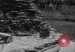Immagine di Bronx Zoo New York City USA, 1941, secondo 55 filmato di repertorio 65675053566