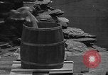 Immagine di Bronx Zoo New York City USA, 1941, secondo 57 filmato di repertorio 65675053566