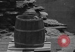 Immagine di Bronx Zoo New York City USA, 1941, secondo 58 filmato di repertorio 65675053566