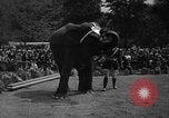 Immagine di Bronx Zoo New York City USA, 1941, secondo 59 filmato di repertorio 65675053566
