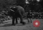Immagine di Bronx Zoo New York City USA, 1941, secondo 61 filmato di repertorio 65675053566
