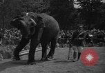 Immagine di Bronx Zoo New York City USA, 1941, secondo 62 filmato di repertorio 65675053566