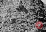 Image collines de sciure de bois Portland Oregon USA, 1941, de la seconde 36 séquences d'archives historiques vidéo 65675053569