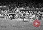 Image course de chevaux Arlington Park Illinois USA, 1941, de la seconde 9 séquences d'archives historiques vidéo 65675053570