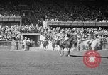 Image course de chevaux Arlington Park Illinois USA, 1941, de la seconde 10 séquences d'archives historiques vidéo 65675053570