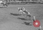 Image course de chevaux Arlington Park Illinois USA, 1941, de la seconde 13 séquences d'archives historiques vidéo 65675053570