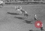 Image course de chevaux Arlington Park Illinois USA, 1941, de la seconde 14 séquences d'archives historiques vidéo 65675053570