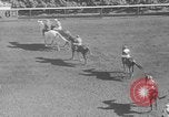 Image course de chevaux Arlington Park Illinois USA, 1941, de la seconde 15 séquences d'archives historiques vidéo 65675053570