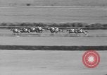 Image course de chevaux Arlington Park Illinois USA, 1941, de la seconde 29 séquences d'archives historiques vidéo 65675053570