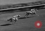 Image course de chevaux Arlington Park Illinois USA, 1941, de la seconde 51 séquences d'archives historiques vidéo 65675053570
