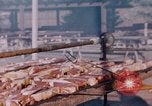 Image of National Academy Convention Palo Alto California USA, 1951, second 16 stock footage video 65675053601