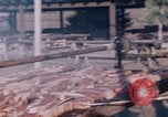 Image of National Academy Convention Palo Alto California USA, 1951, second 23 stock footage video 65675053601