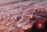 Image of National Academy Convention Palo Alto California USA, 1951, second 38 stock footage video 65675053601