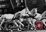 Image of May Day Parade Moscow Russia Soviet Union, 1946, second 58 stock footage video 65675053631