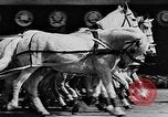 Image of May Day Parade Moscow Russia Soviet Union, 1946, second 62 stock footage video 65675053631
