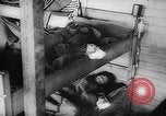Image of Belsen Concentration camp Germany, 1945, second 11 stock footage video 65675053644