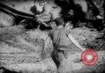Image of United States tanks Okinawa Ryukyu Islands, 1945, second 24 stock footage video 65675053646