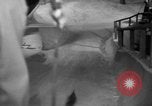 Image of indoor ski slope New York City USA, 1936, second 26 stock footage video 65675053650
