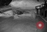 Image of indoor ski slope New York City USA, 1936, second 28 stock footage video 65675053650