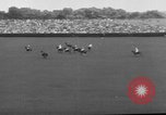 Image Pete Bostwick Westbury New York USA, 1938, de la seconde 6 séquences d'archives historiques vidéo 65675053665