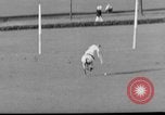 Image Pete Bostwick Westbury New York USA, 1938, de la seconde 18 séquences d'archives historiques vidéo 65675053665