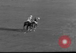 Image Pete Bostwick Westbury New York USA, 1938, de la seconde 28 séquences d'archives historiques vidéo 65675053665