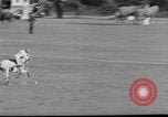 Image Pete Bostwick Westbury New York USA, 1938, de la seconde 32 séquences d'archives historiques vidéo 65675053665