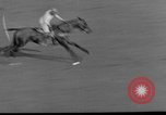 Image Pete Bostwick Westbury New York USA, 1938, de la seconde 46 séquences d'archives historiques vidéo 65675053665