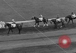 Image course de chevaux Pawtucket Rhode Island USA, 1938, de la seconde 7 séquences d'archives historiques vidéo 65675053667