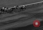 Image course de chevaux Pawtucket Rhode Island USA, 1938, de la seconde 29 séquences d'archives historiques vidéo 65675053667