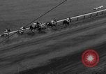 Image course de chevaux Pawtucket Rhode Island USA, 1938, de la seconde 31 séquences d'archives historiques vidéo 65675053667