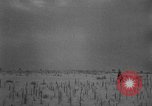 Standbild USA Tanks Niedrige Länder europäische Theater, 1944, aus Sekunde 8 historischem Filmmaterial Videoclip 65675053668