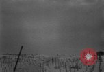 Standbild USA Tanks Niedrige Länder europäische Theater, 1944, aus Sekunde 12 historischem Filmmaterial Videoclip 65675053668