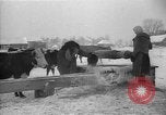 Image of Ukraine farm workers on snow covered farm Kiev Ukraine, 1947, second 27 stock footage video 65675053671